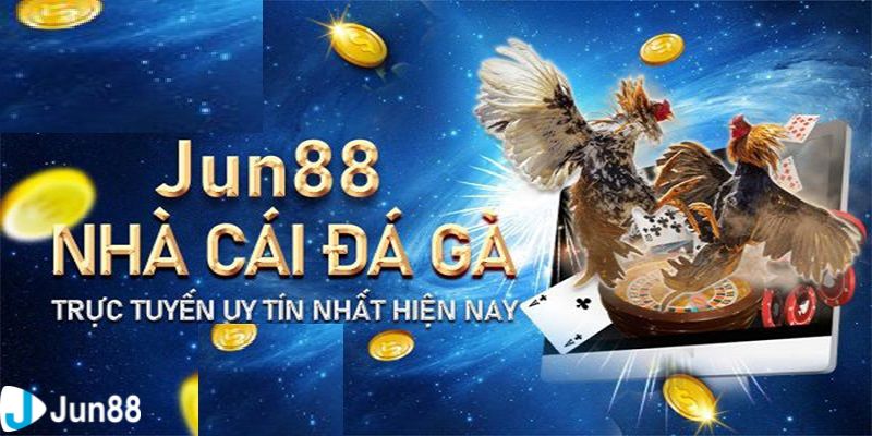 Đá gà Giới thiệu sảnh Đá gà