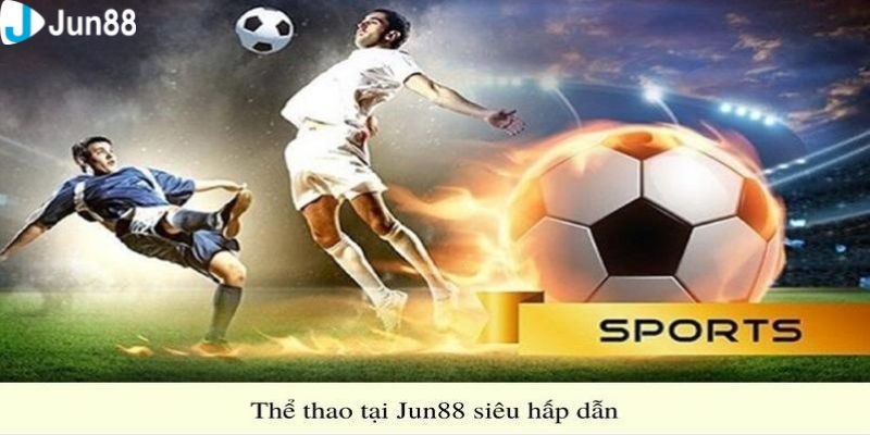 Thể thao Lý do sảnh thể thao được anh em dân chơi yêu thích
