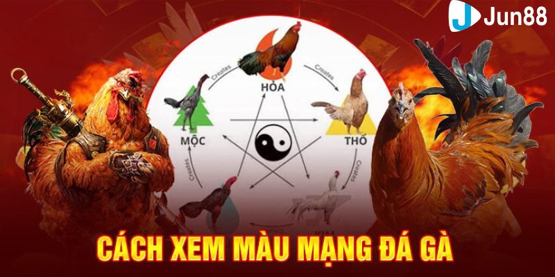 Nguồn gốc kinh kê của xem màu mạng đá gà để thi đấu