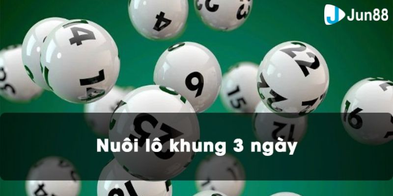 nuôi lô khung 3 ngày