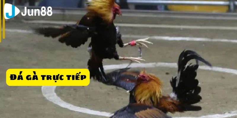 Khám phá các tính năng nổi bật