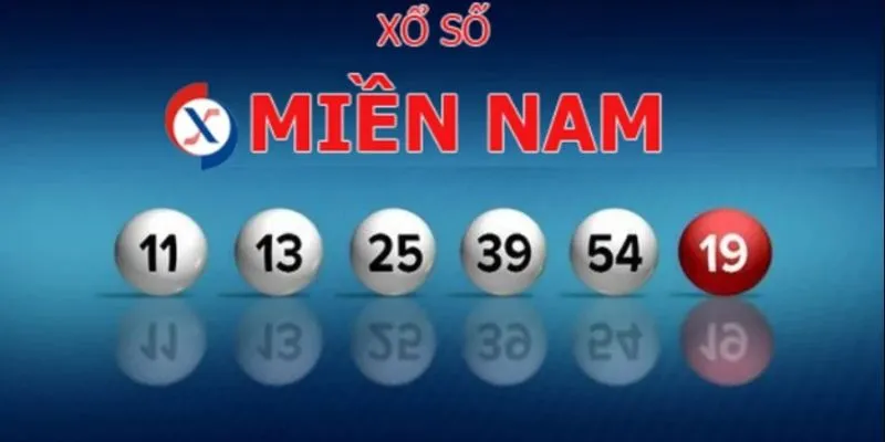 Đặt cược nhiều vé với các dãy số khác nhau để gia tăng cơ hội thắng