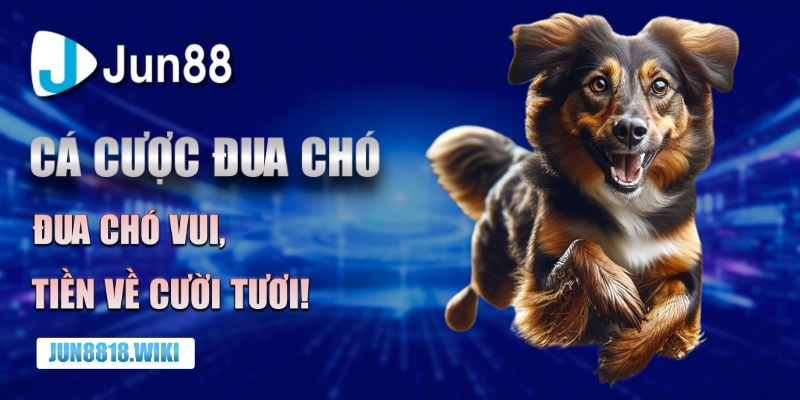 Cá cược đua chó