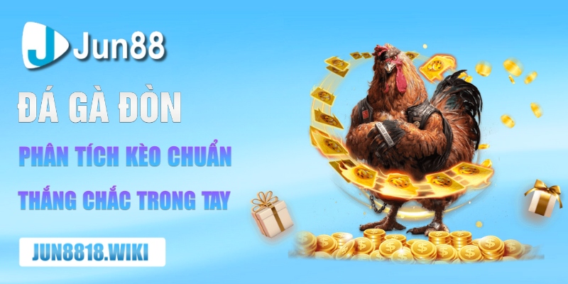 đá gà đòn